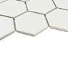 Nakama White 1